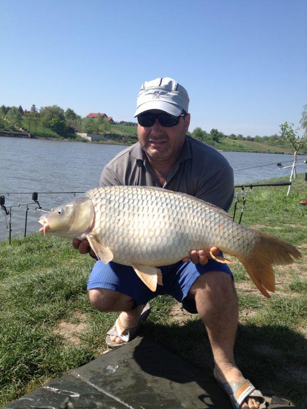 pestisori de aur - img-20130503-wa0006.jpg